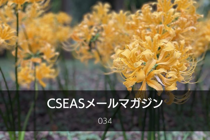 CSEASメールマガジン第34号 – 2024/10/23